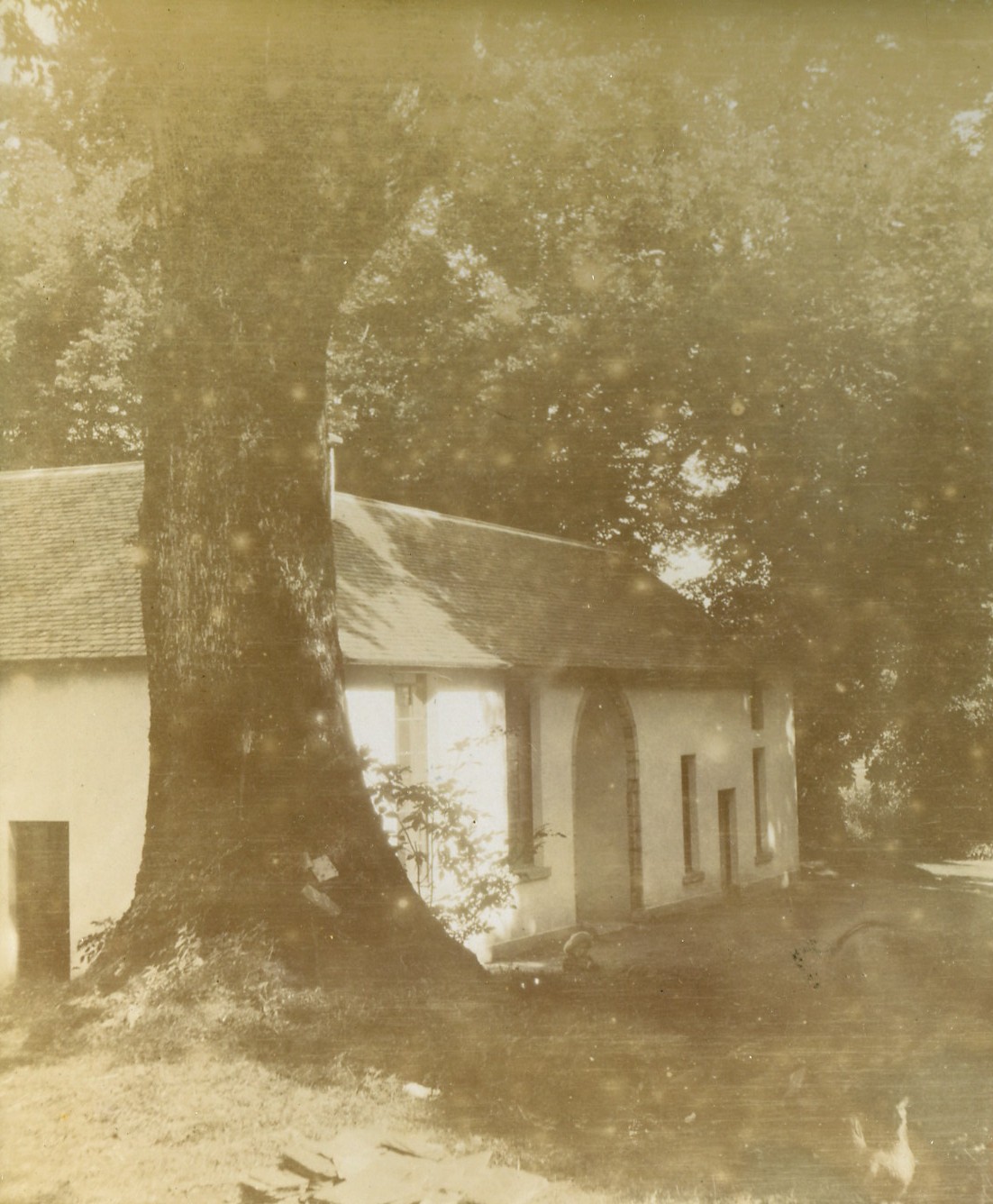 Dacia Cottage